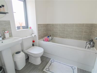 Picture 14